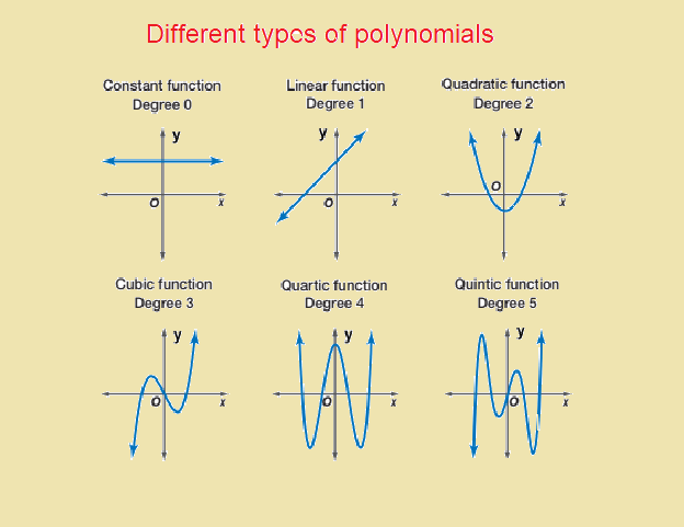 Different types of polynomials