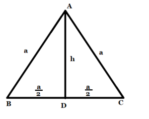 to find area of a triangle